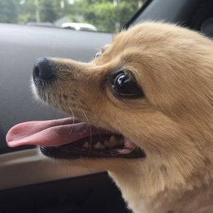 Meet your Posher, Katie